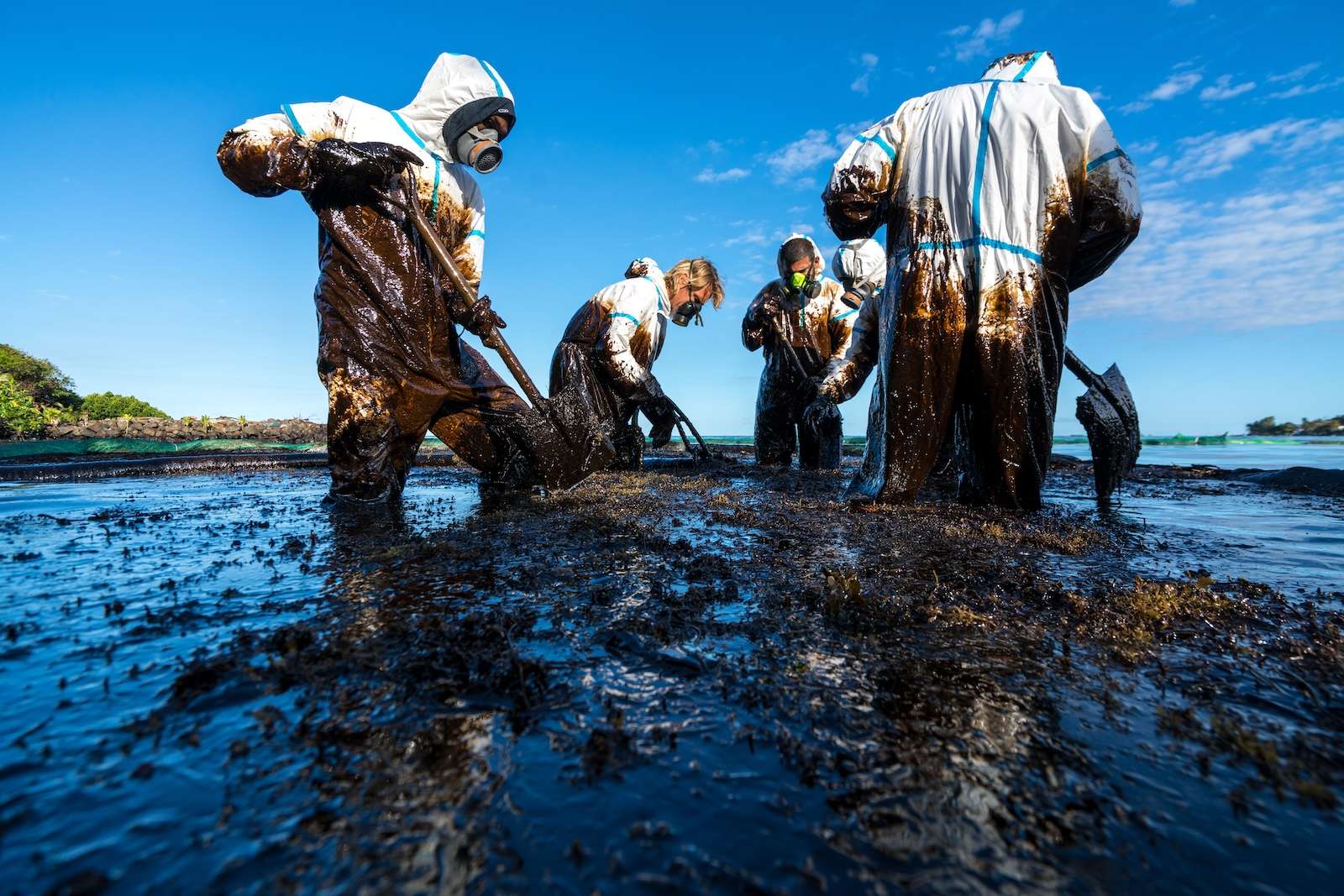 oil_sludge_1.jpg